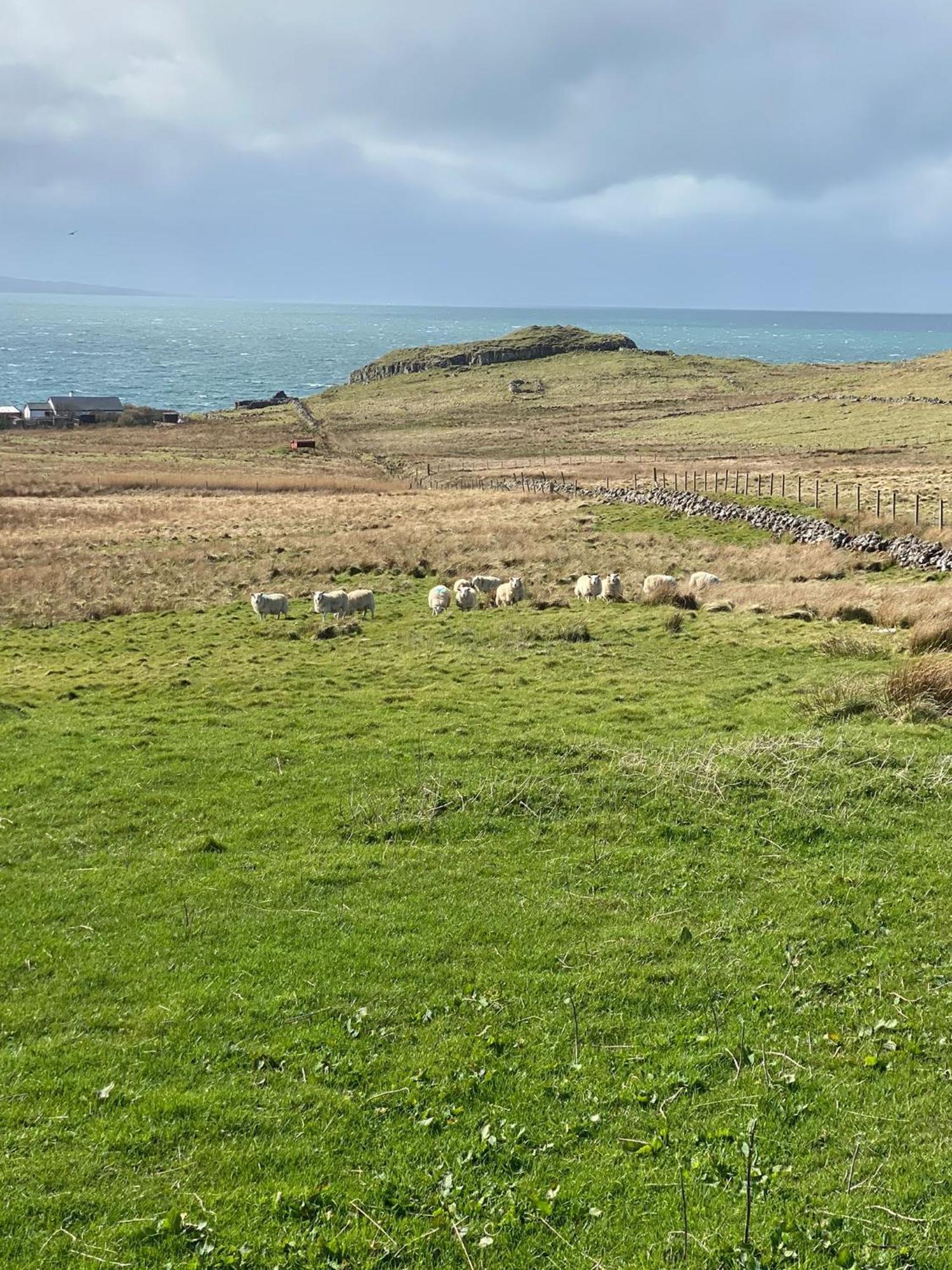 Cnoc Ruaraidh Cottage Kilmuir  外观 照片